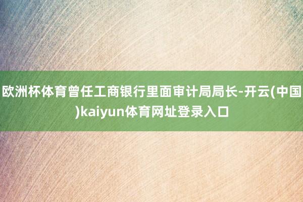 欧洲杯体育曾任工商银行里面审计局局长-开云(中国)kaiyun体育网址登录入口
