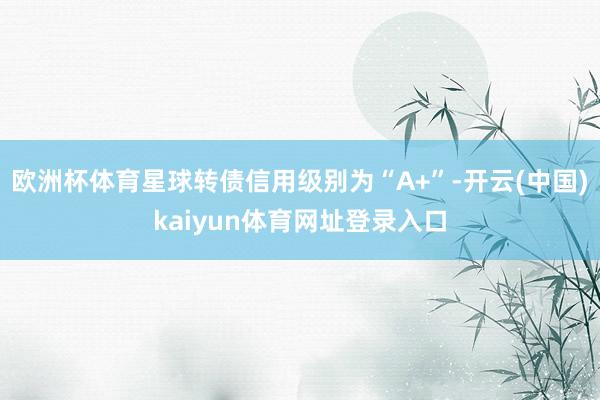 欧洲杯体育星球转债信用级别为“A+”-开云(中国)kaiyun体育网址登录入口